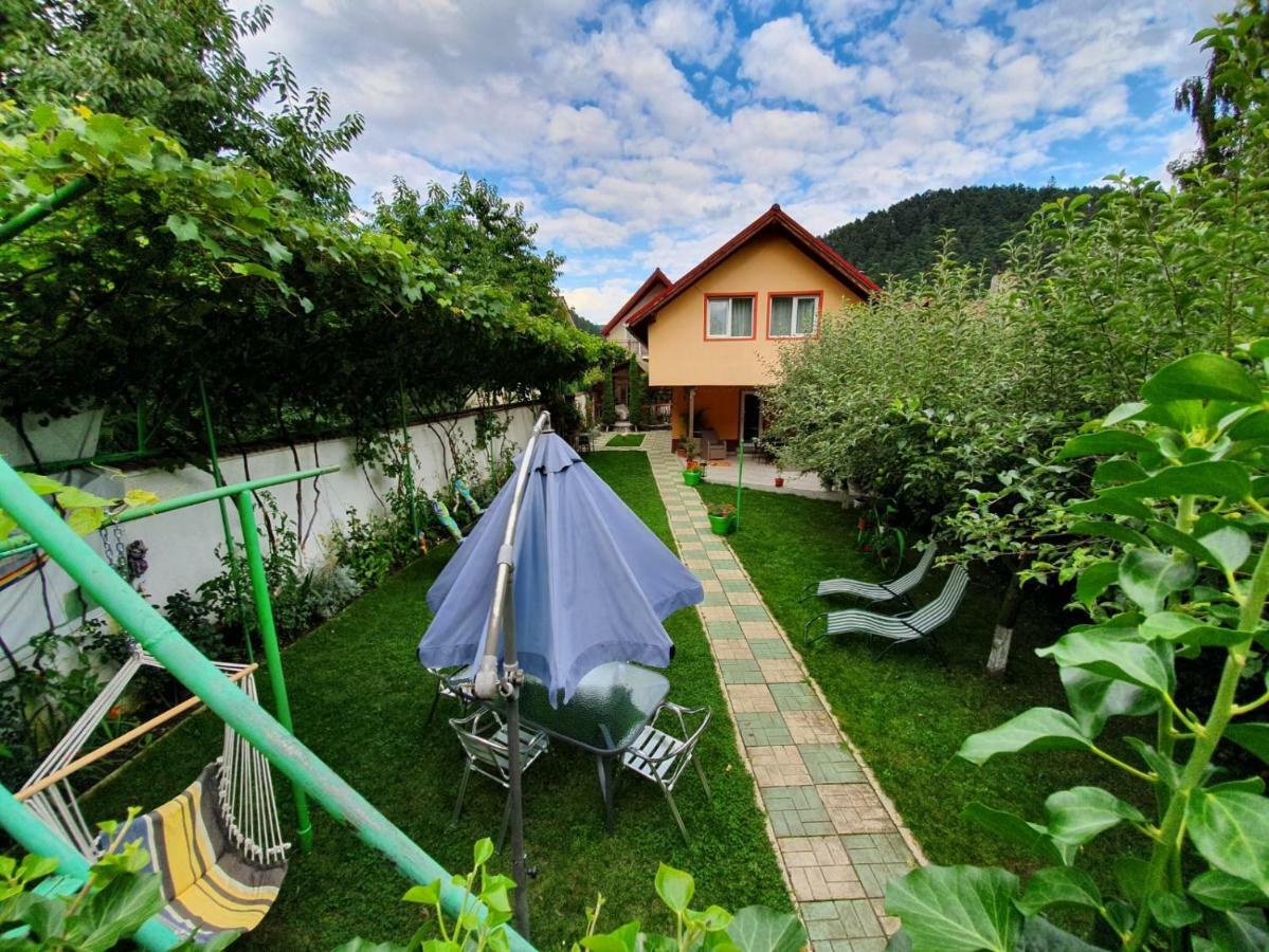 Hotel Casa Lucky à Rîşnov Extérieur photo